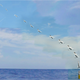 Illustration for article titled The Navy Just Launched a Drone from a Submarine—While Underwater